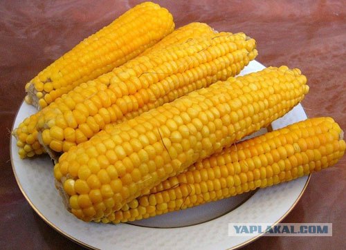 Лакомства детства