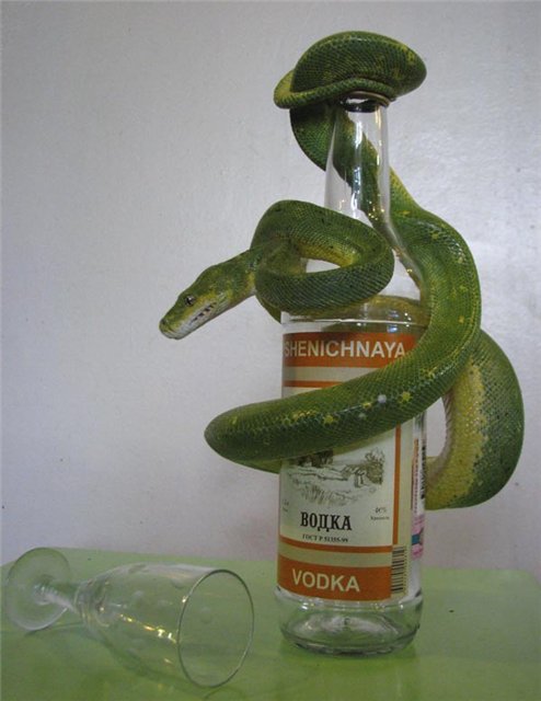 Всем зеленки!