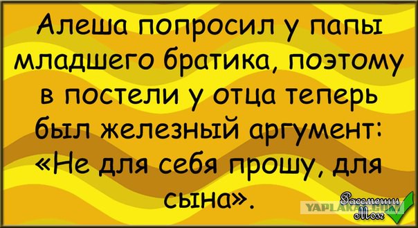 Смешные комментарии из социальных сетей 11.11.2014