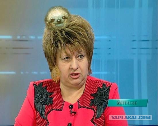 Весёлые картинки