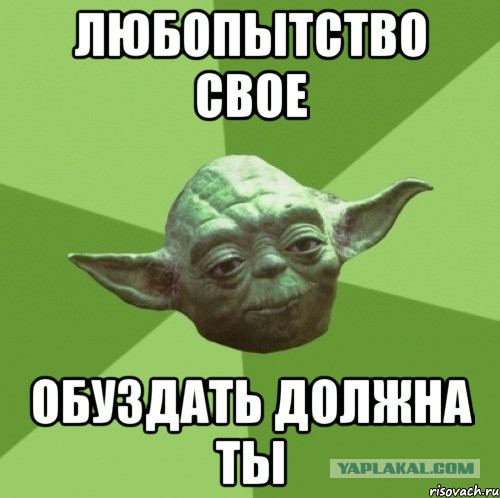 Нападение бойцовой собаки. 18+