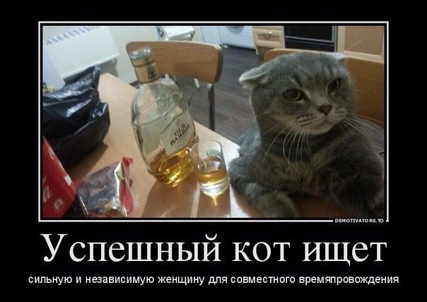 Веселые картинки