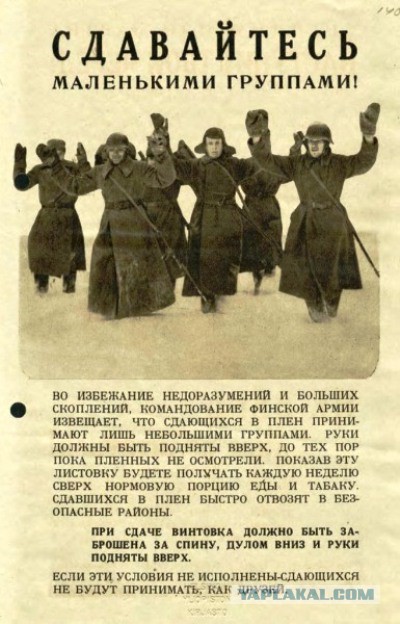 Укропы добрались до Лен. области.