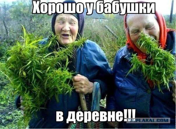 Почему "жадина" - говядина?