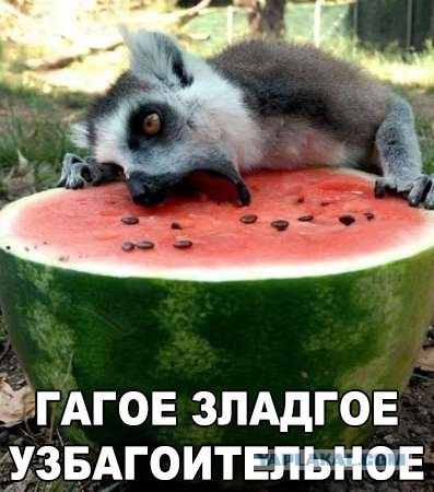 Картинки из сети