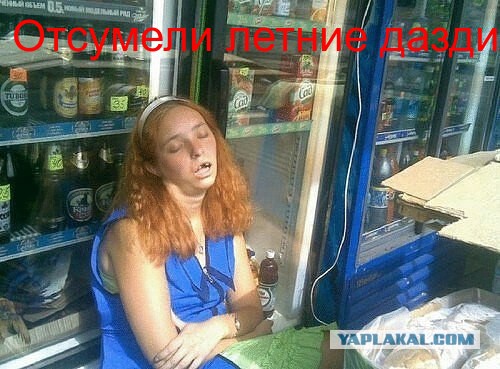 Подборка картинок