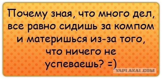 Приколы из сети