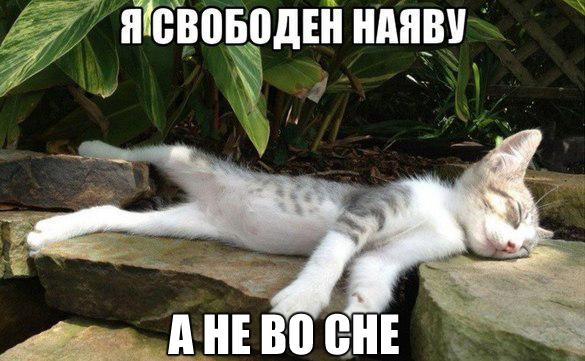 Немного картинок