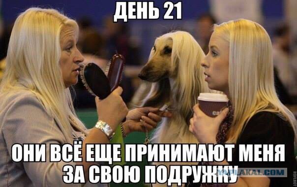 Прикольные картинки