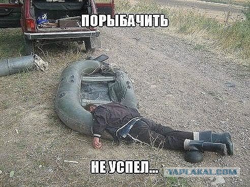 Забавные картинки из Сети
