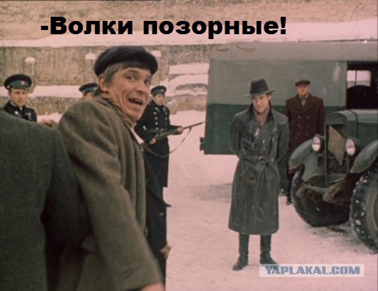 Медведица vs стая волков