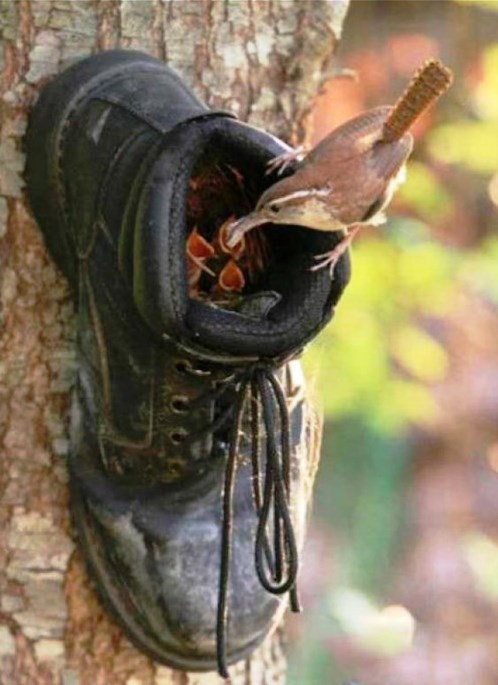 Подборка интересных и веселых картинок