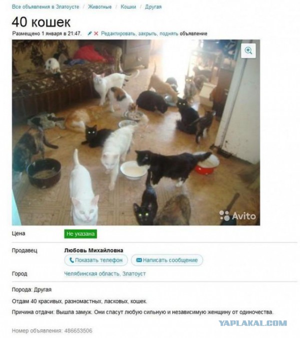 Девочки, не надо этого делать!