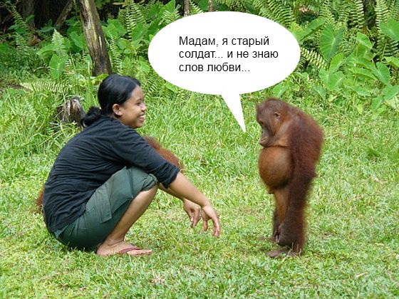 Порция картинок из сети