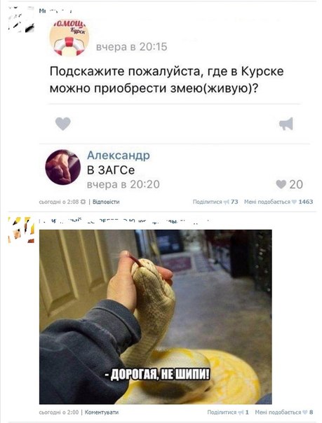 Ужасы и приколы из соцсетей 18+