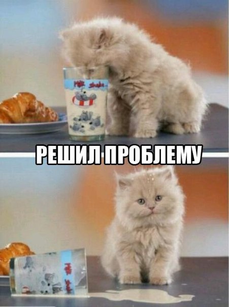 Прикольные животные