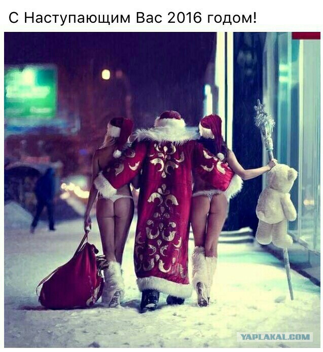 Любительские фото девушек в бикини