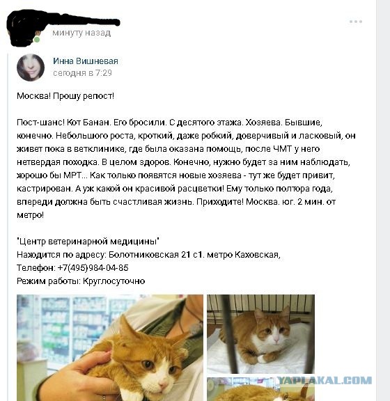 Поговорю с добрыми москвичами. Посторонним В.