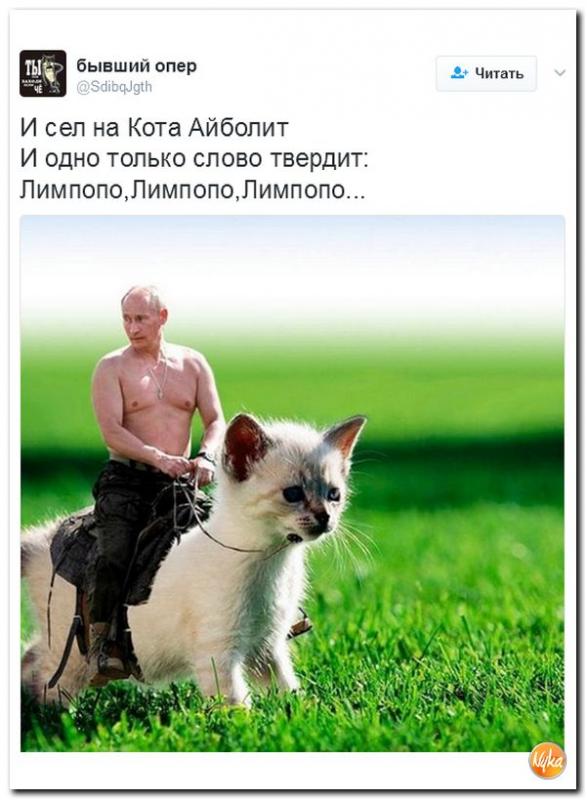 Хроники Лимпопо