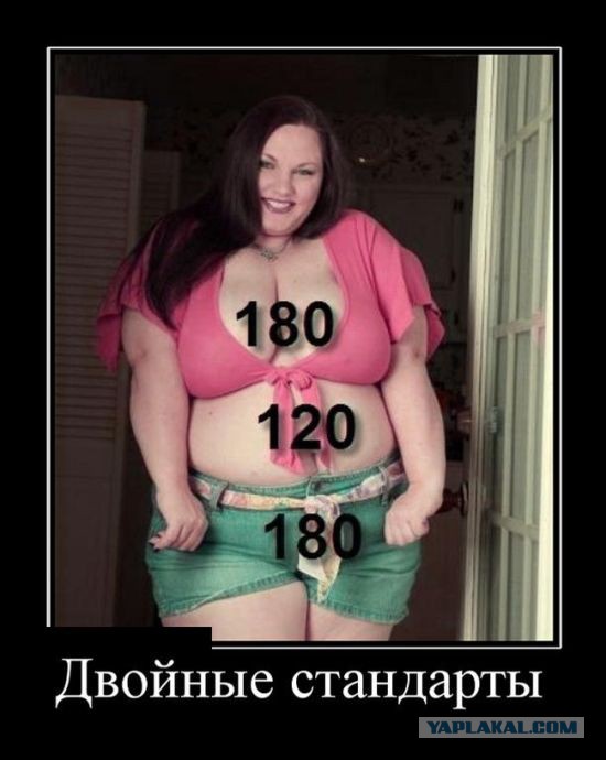 Баяны в чёрных рамках