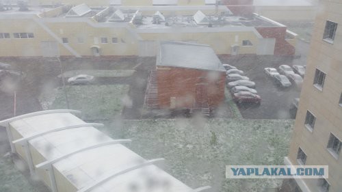 Новосибирск завалило снегом. Какой город следующий?