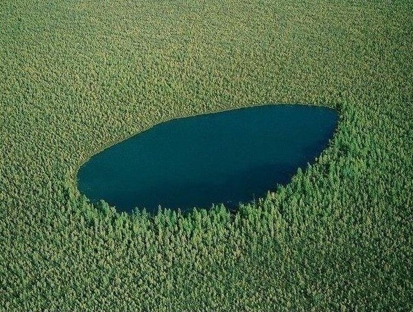 Подборка разного из сети