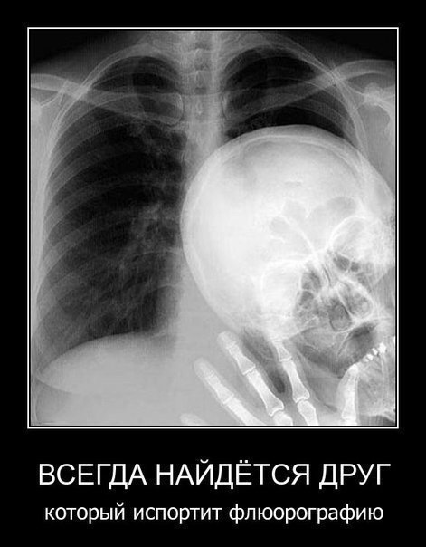 Прикольные картинки 03.06.2017