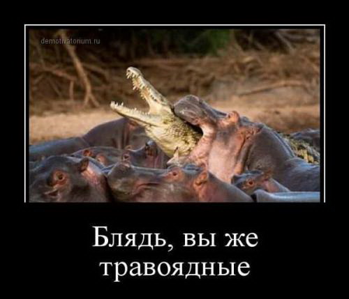 Кто кого.Поединки животных