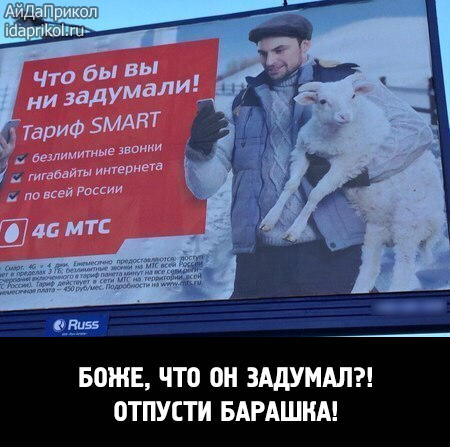 Студенты-ветеринары снялись голыми ради животных