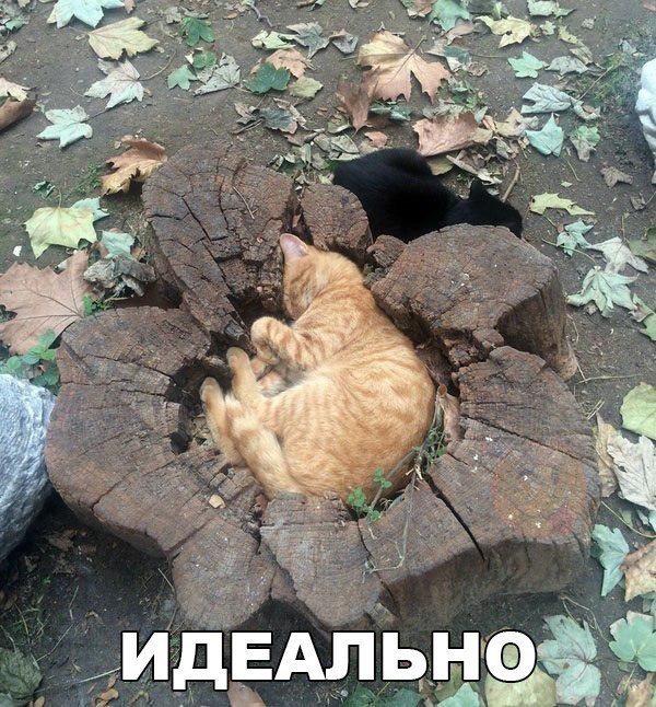 Давайте мозг уже отдохнёт, хорошо?