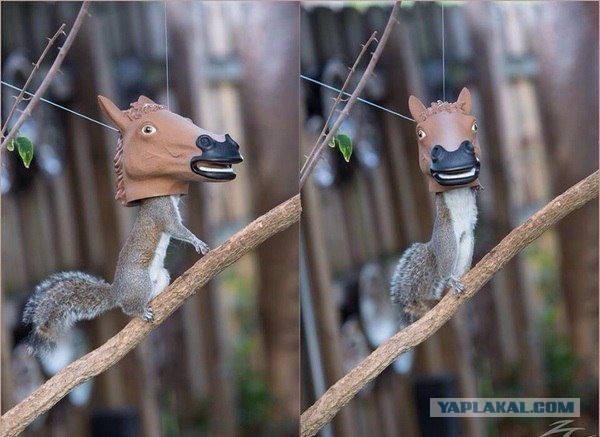 Прикольные товары