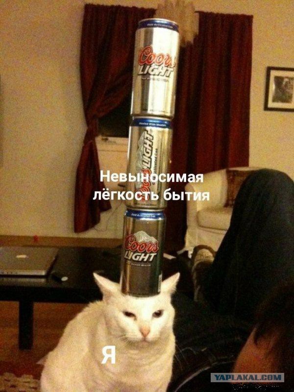 Алкопост на вечер этой пятницы