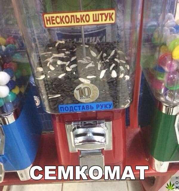 Прикольные картинки абавсём