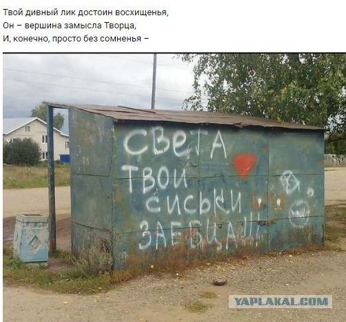 Стихо+картинки