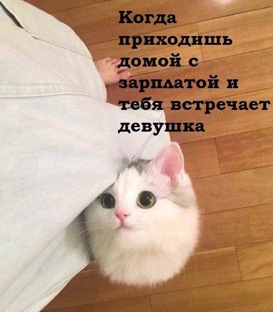 Немного картинок для настроения