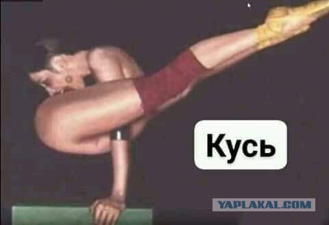 И тебя вылечим