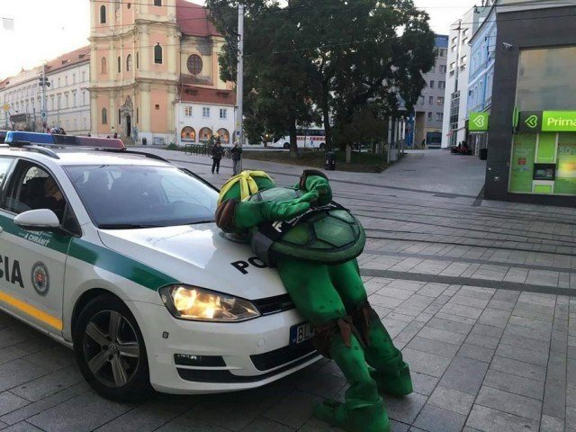 WTF: что тут происходит?