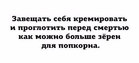 стырнета