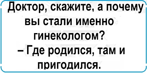 Анекдоты, соц-сети, истории и картинки с надписями