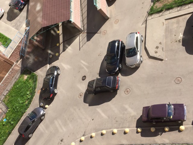 Сфера справедливости нашла победителя по жизни в Кудрово