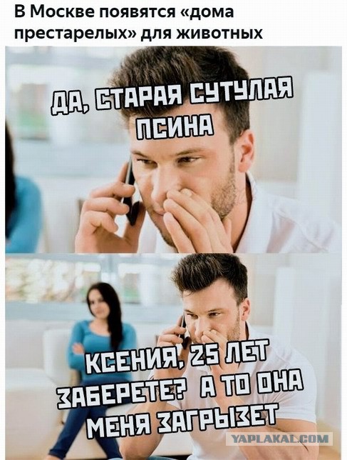 Одиночество в сети