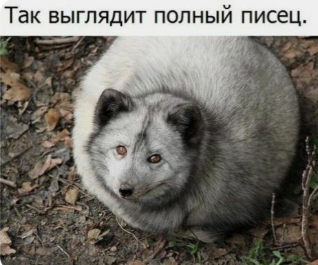 Прикольные картинки абавсём 06.09.19