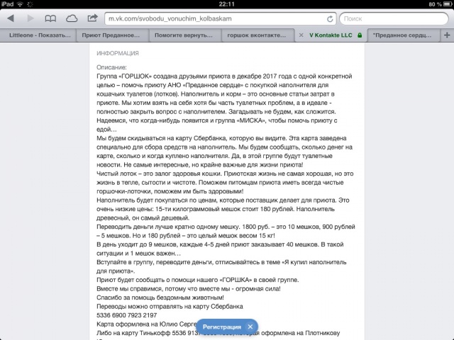 Помогите вернуть кота! Приют "Преданное сердце" украл кота и не отдает!-2
