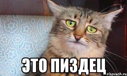 Запрет на алкоголь. Ни разу ни смешно