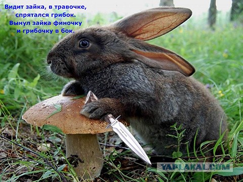 Чёрный пост