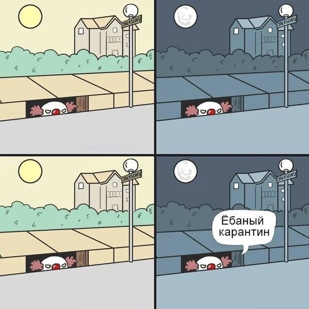 Так себе картинки 24.05.20