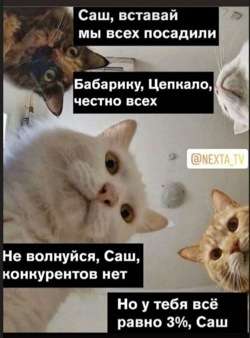 Куда пойдет Белоруссия: к братьям на Восток или к панам на Запад