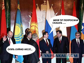 Я несу хуйню