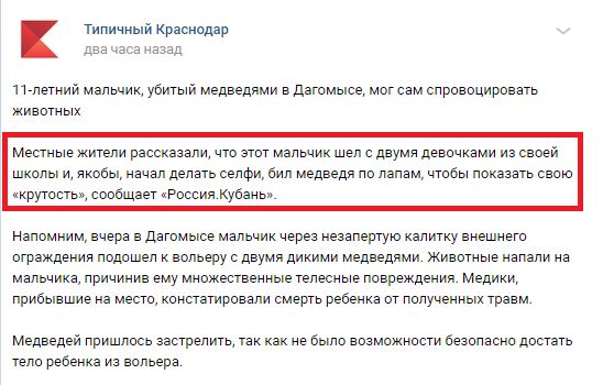 В Сочи медведи загрызли 11-летнего мальчика