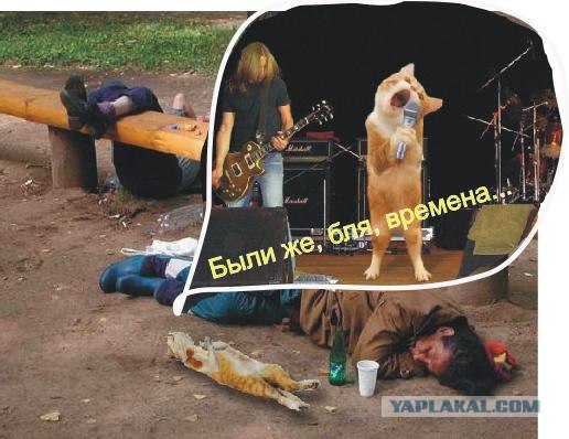 Кот певец